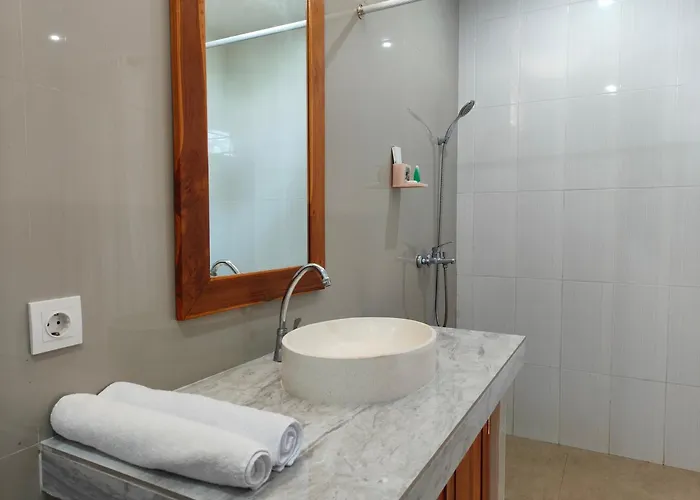 Guest house Griyani 3*